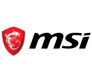MSI extension de garantie 1 an EXT_PRO DT_BB_PRO-licence