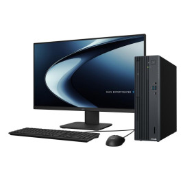 ASUS ExpertCenter P500SV-07240H026X