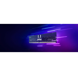 KINGSTON 256G (8x32G) D5 5600Mhz RENEGATE PRO EXPO