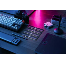 KINGSTON 256G (8x32G) D5 5600Mhz RENEGATE PRO EXPO