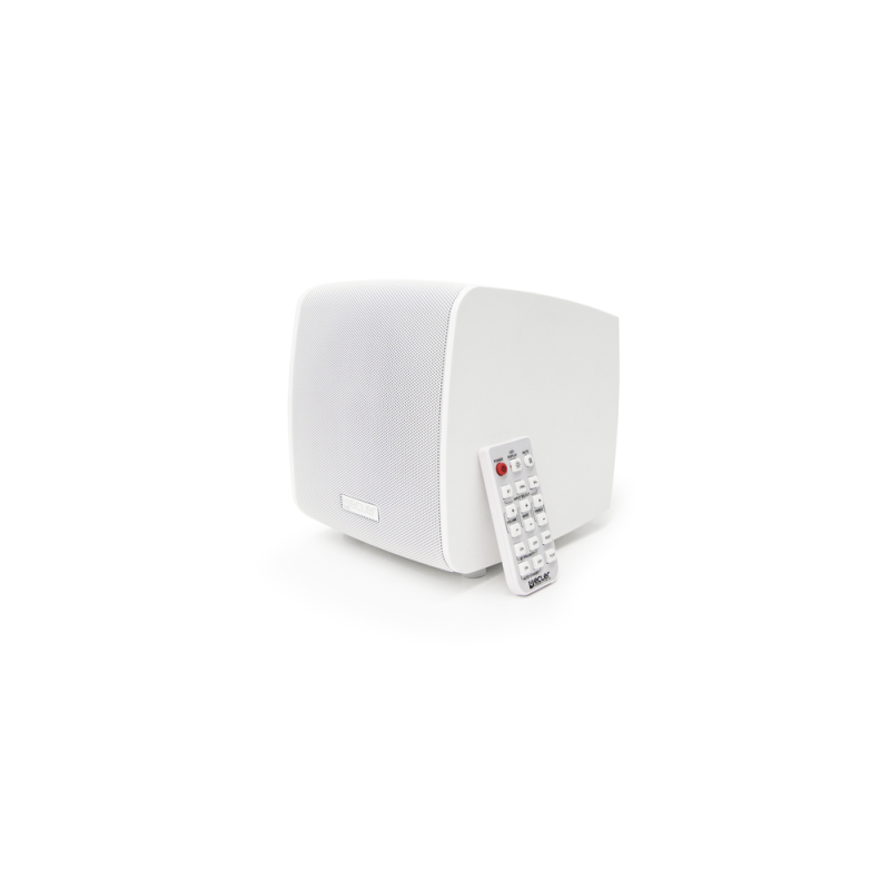 Ecler 5" CEMOTUS5PBWC