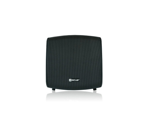 Ecler Enceinte public adress 8" 2 voies 100 WRMS IP65 Noir