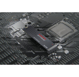 SANDISK Optimus 5100 1TO
