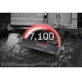 SANDISK Optimus 5100 1TO