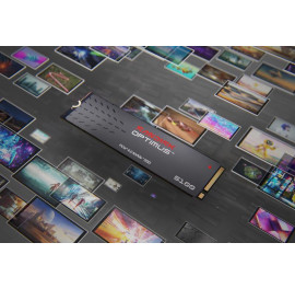 SANDISK Optimus 5100 1TO