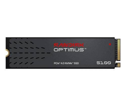 SANDISK Optimus 5100 500Go