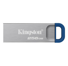 KINGSTON 256G USB 3.2 Gen 1 *DTKNG2/256GB