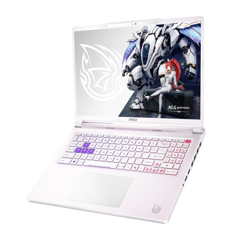 MSI Crosshair A16 HX MLG Edition E8WGK-099FRY AMD Ryzen 7 8840HX Ordinateur portable 40,6 cm (16") Quad HD+ 32 Go DDR5-SDR... (image 14)