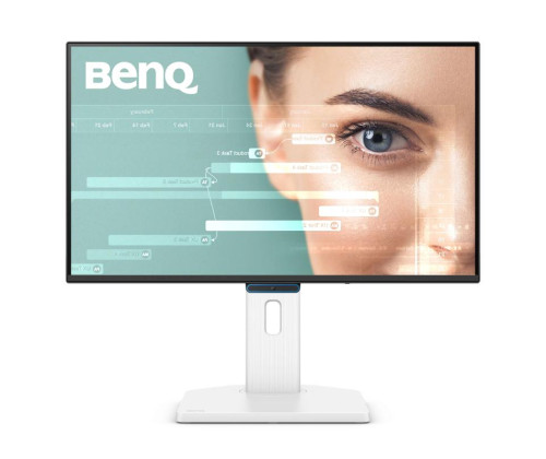 BenQ GW2490TC